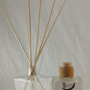 MIKADO LIMPIO 100Ml.