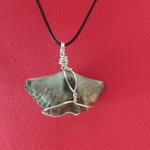 COLGANTE FOSIL PLATEADO